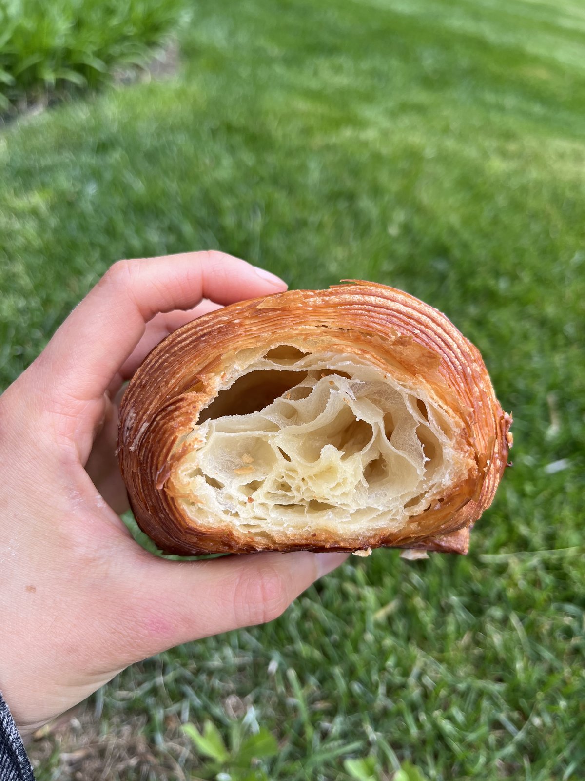 Tall Poppy Croissants